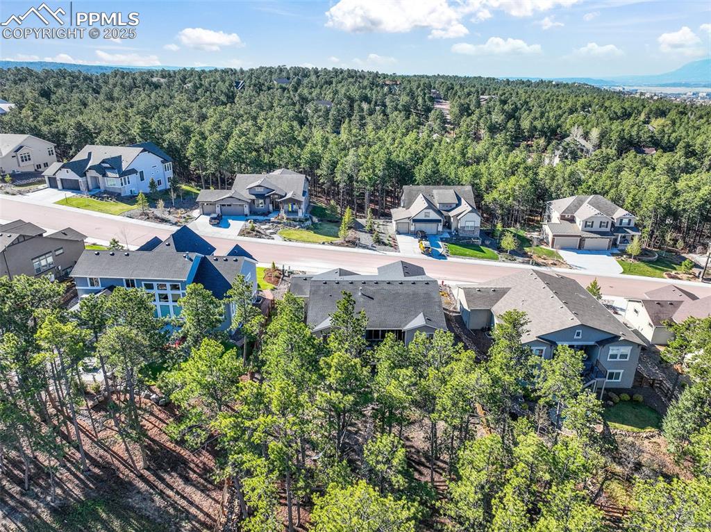 1004 Tree Bark Terrace