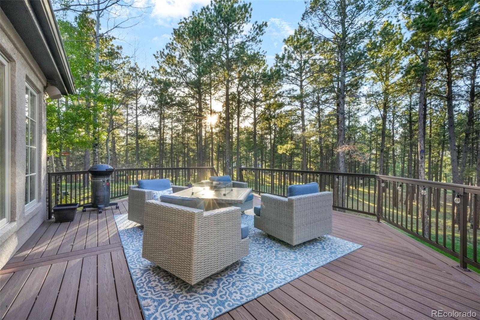 16092 Waving Branch Way