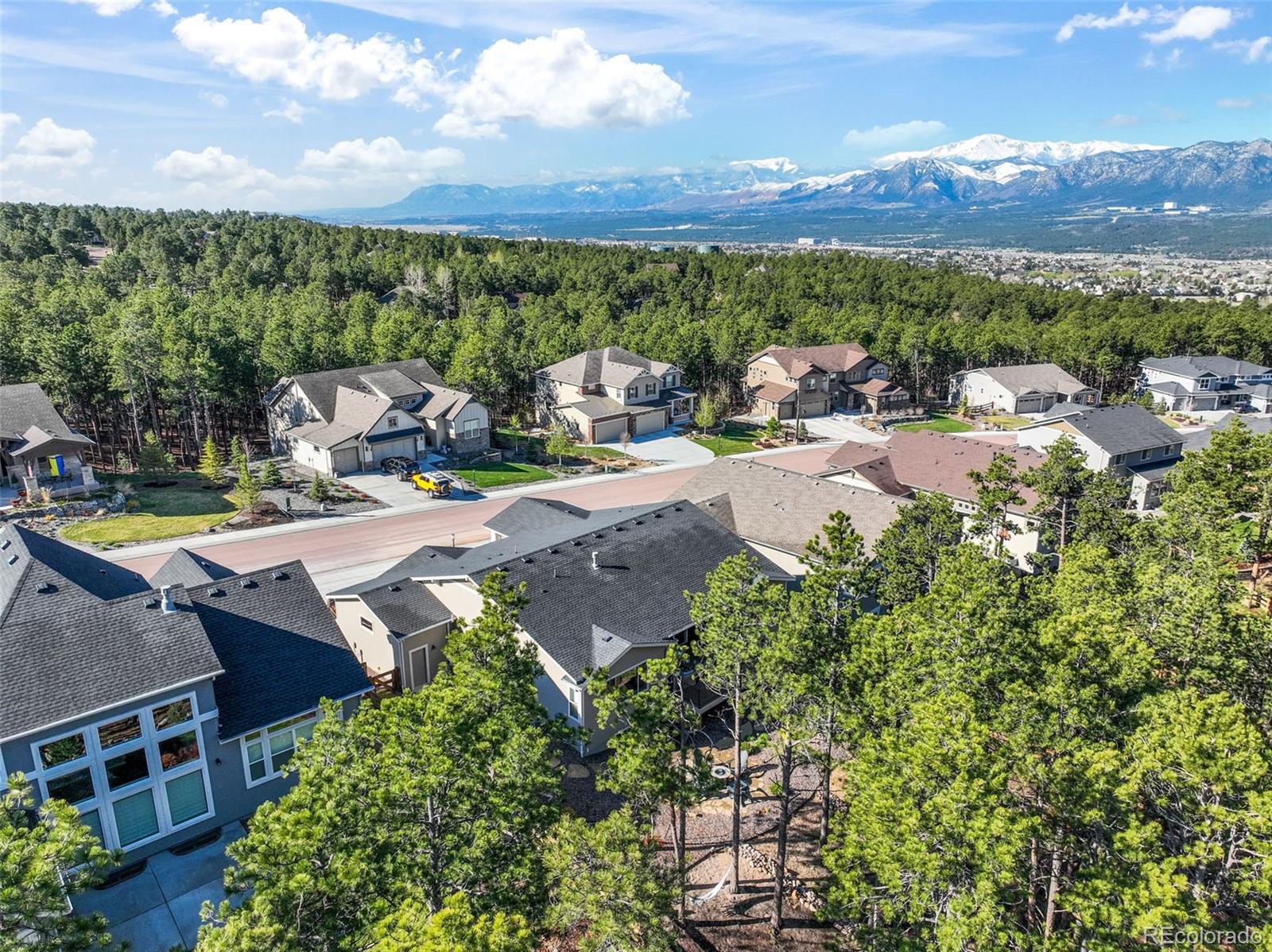 1004 Tree Bark Terrace