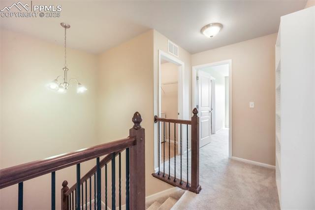 5677 Saint Patrick View