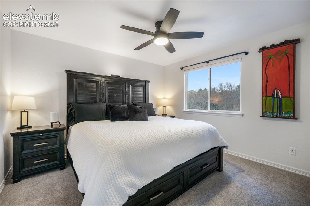 556 Coyote Willow Drive