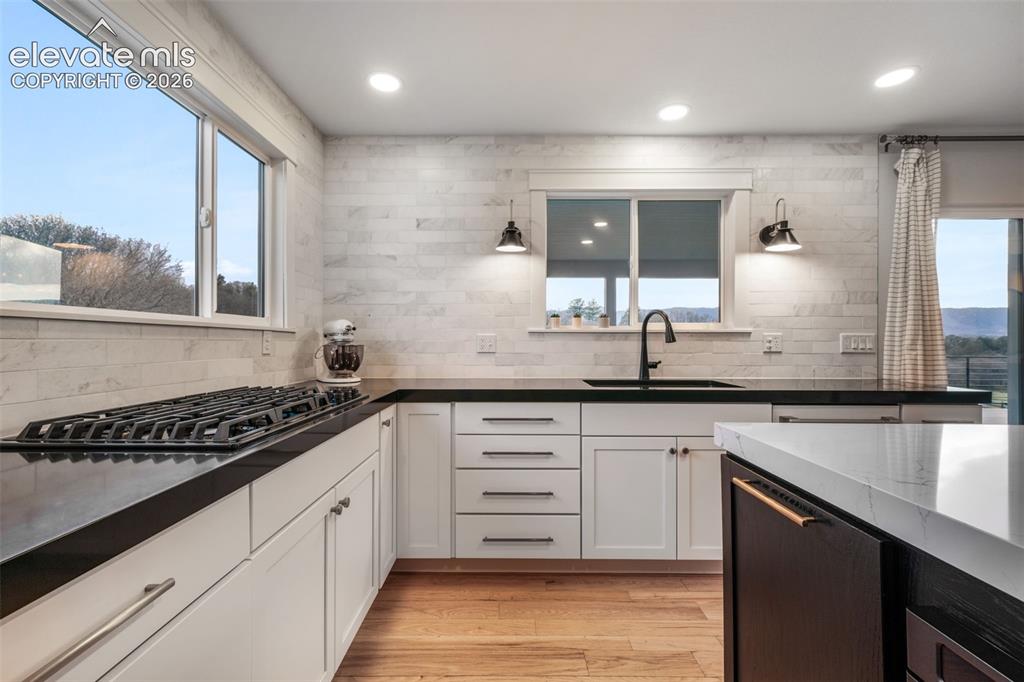556 Coyote Willow Drive