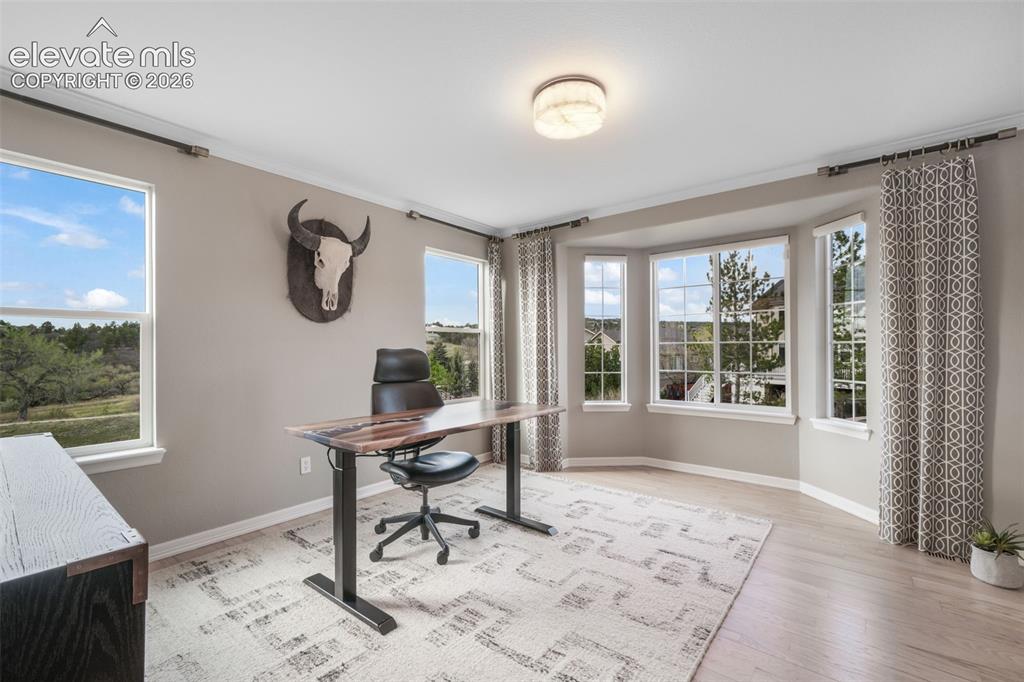 556 Coyote Willow Drive