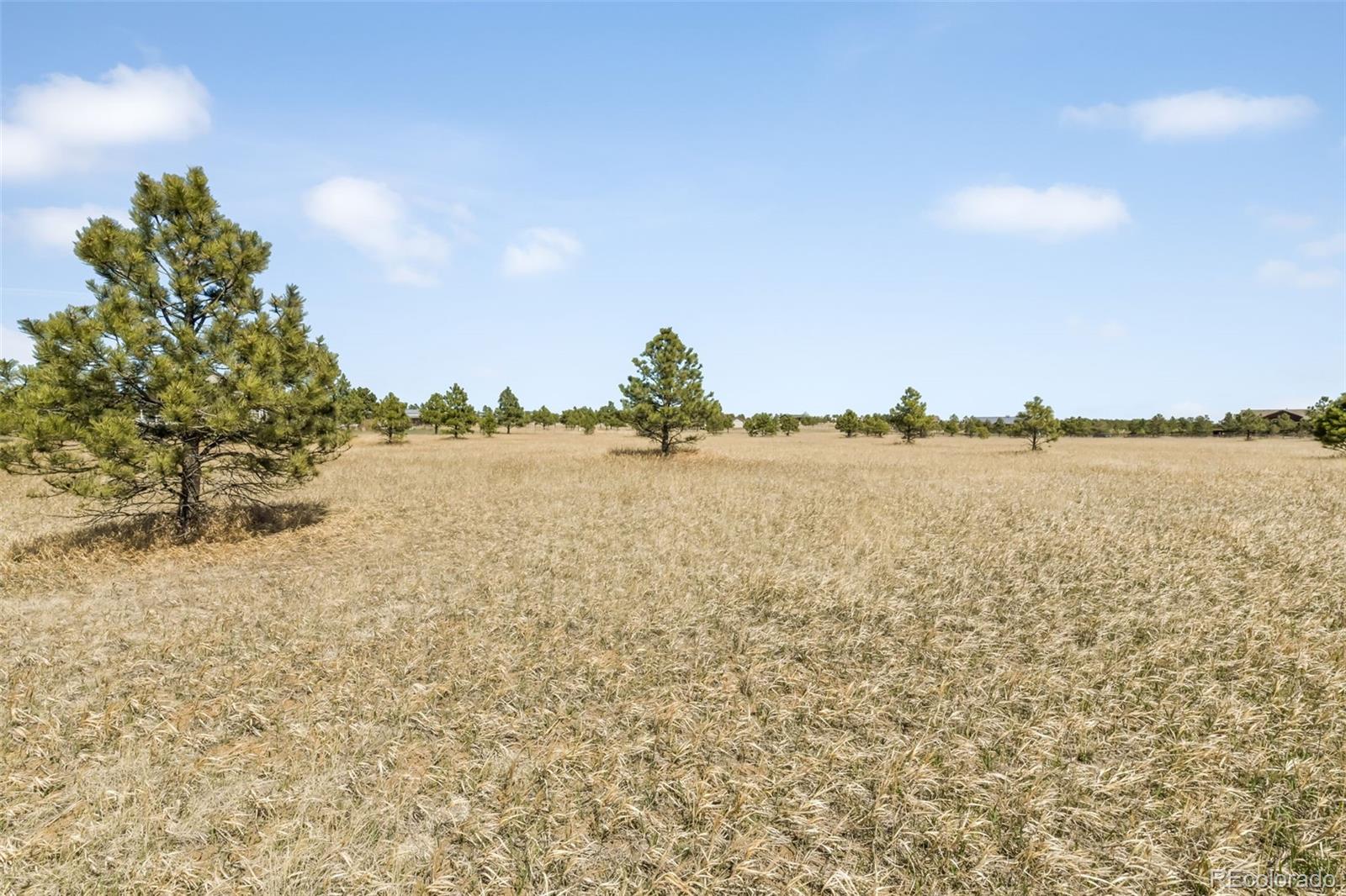 18150 Pinon Park Road