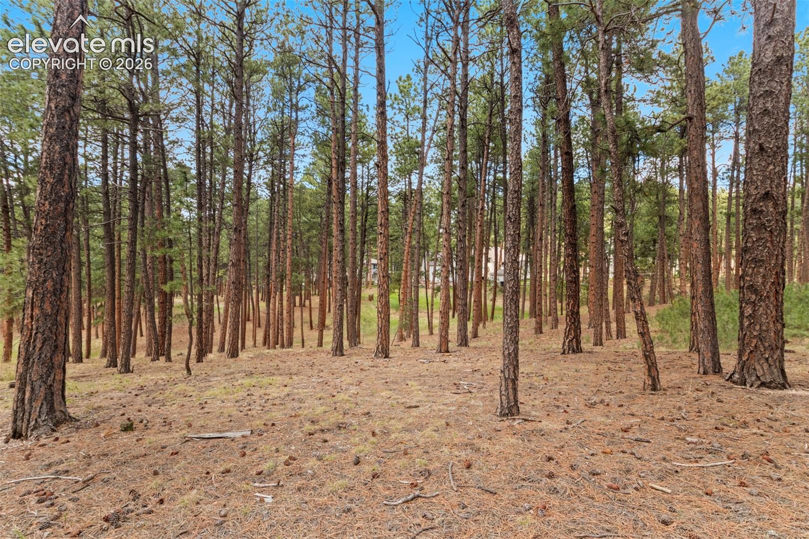 140 Stirrup Trail