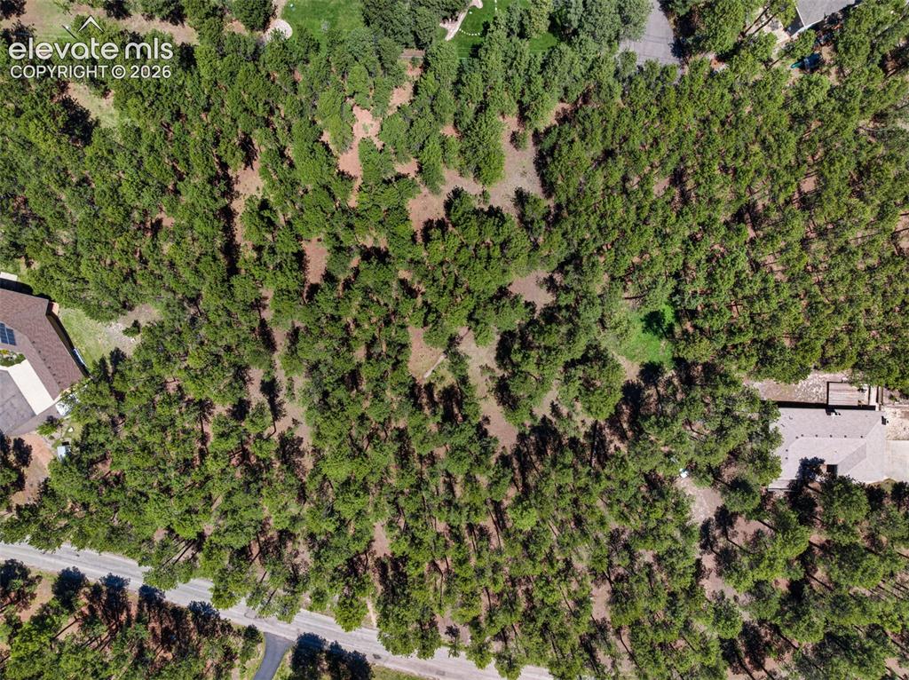 140 Stirrup Trail