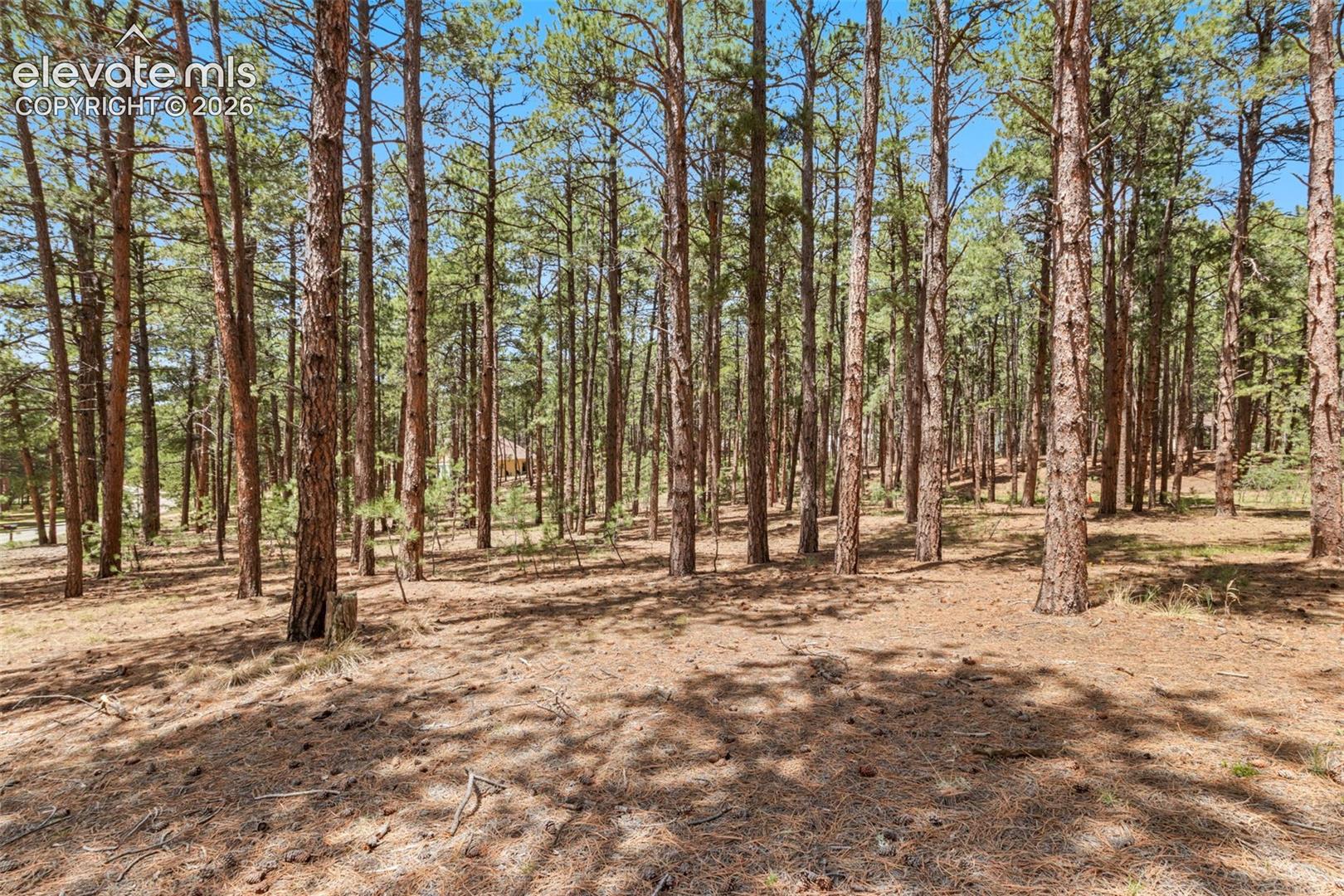 140 Stirrup Trail