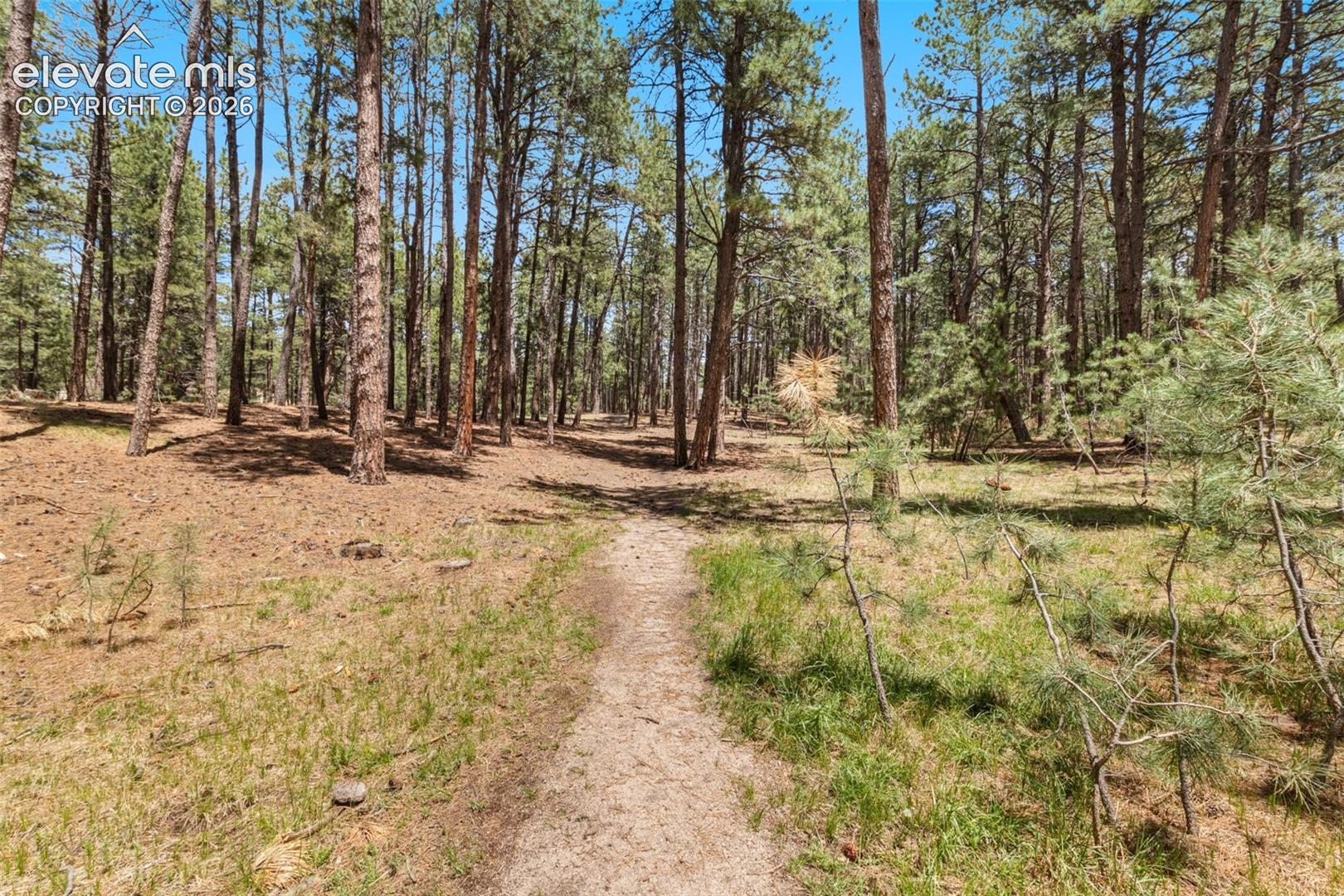140 Stirrup Trail