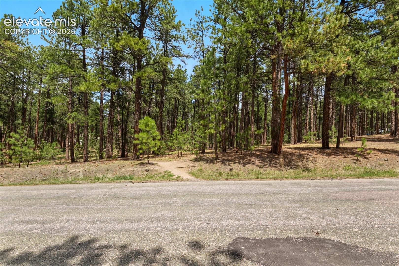 140 Stirrup Trail