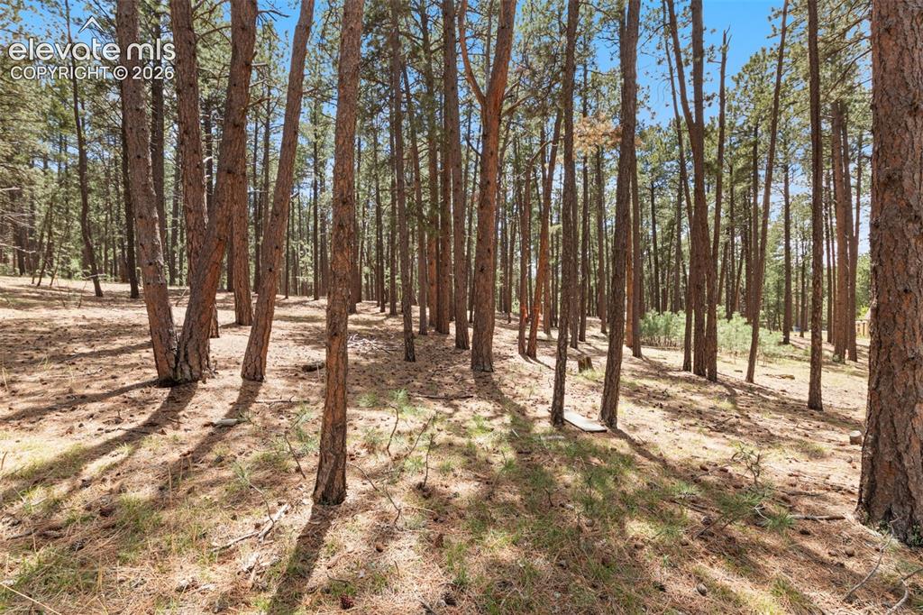 140 Stirrup Trail