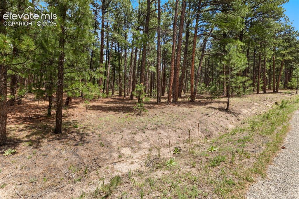 140 Stirrup Trail