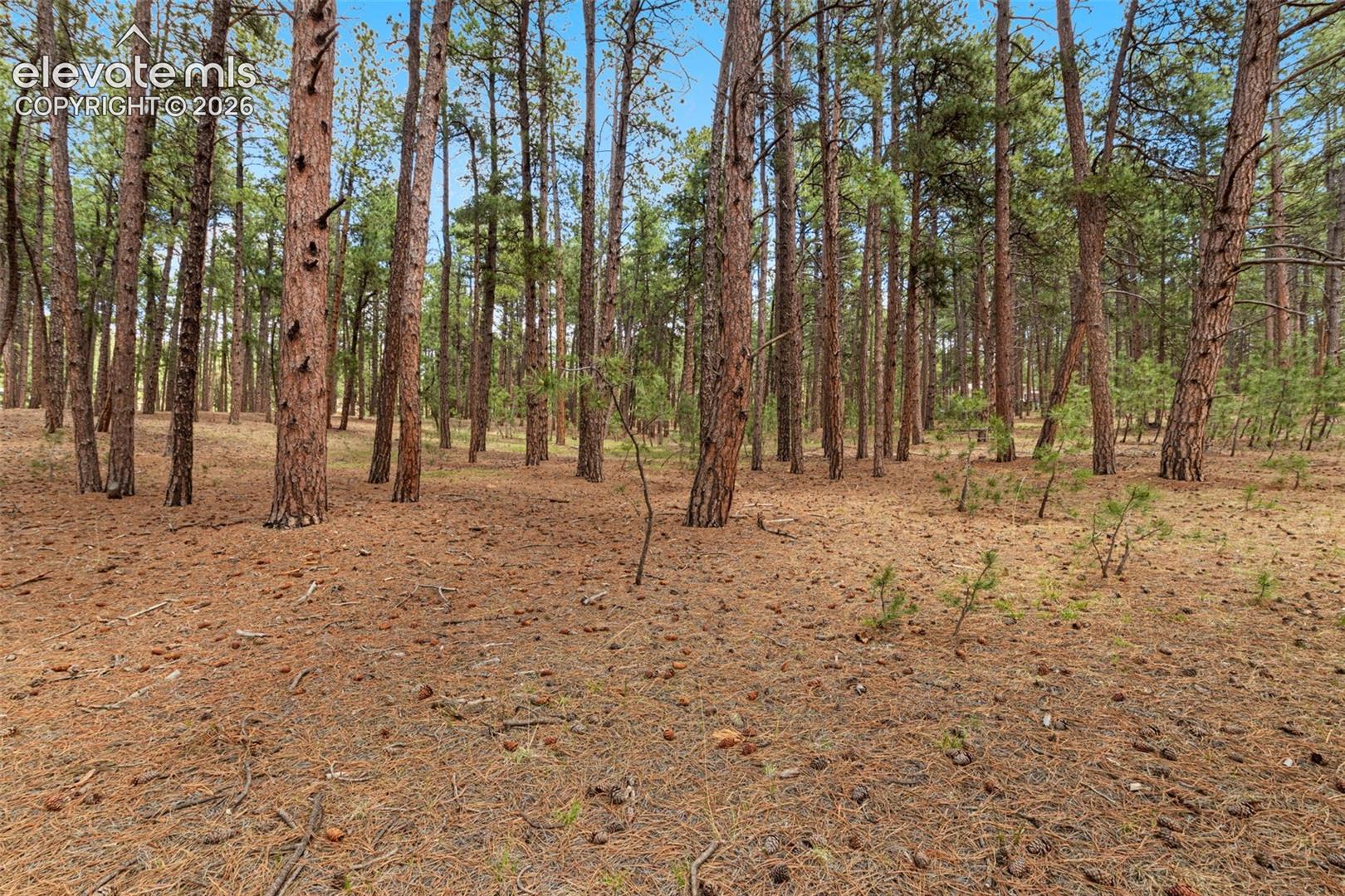 140 Stirrup Trail
