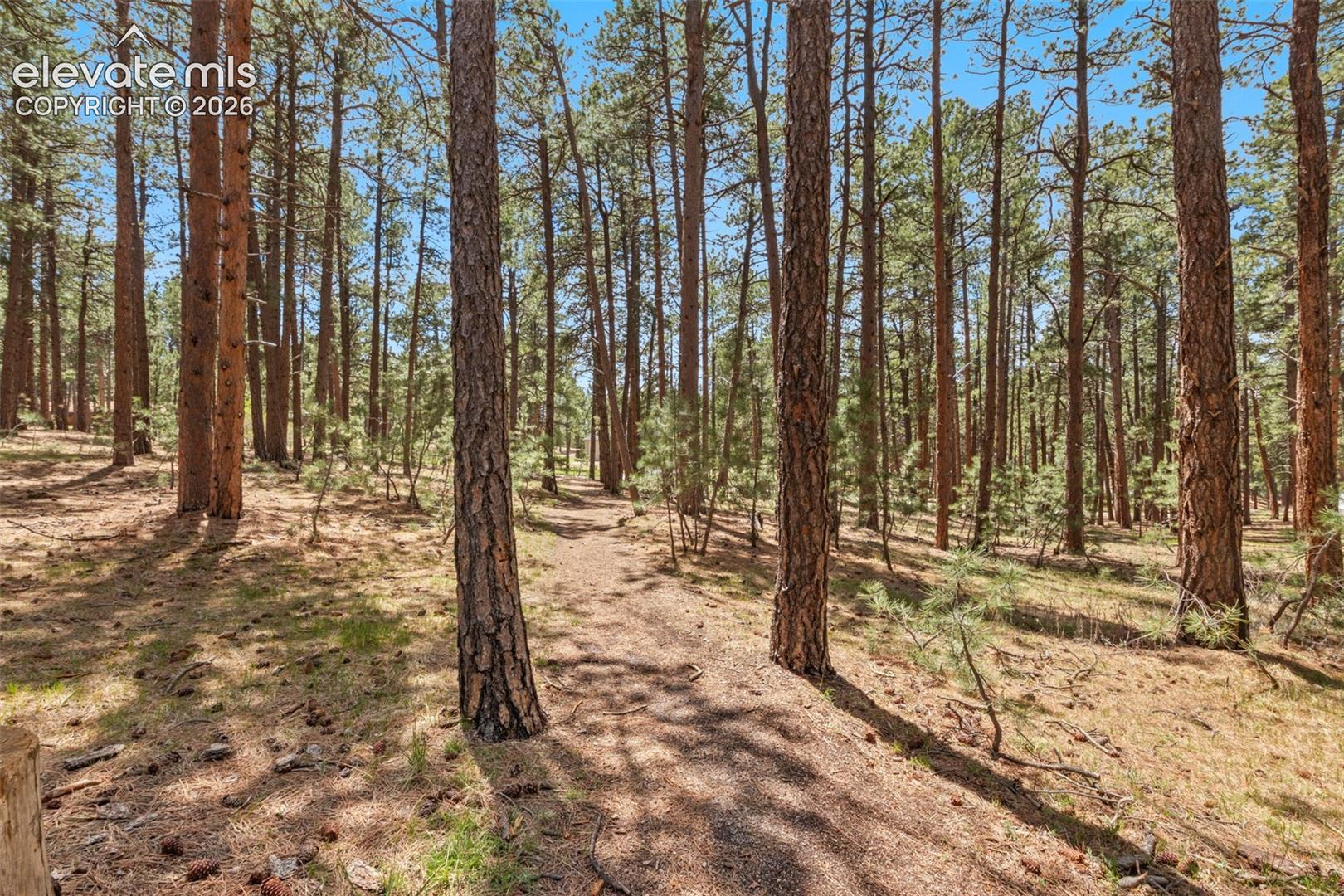 140 Stirrup Trail