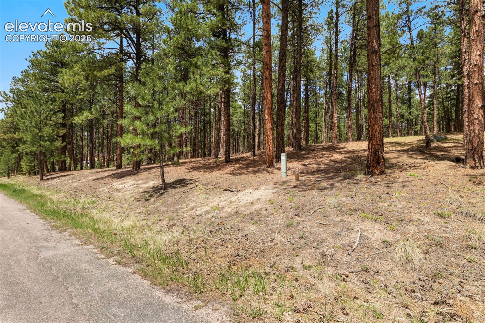 140 Stirrup Trail