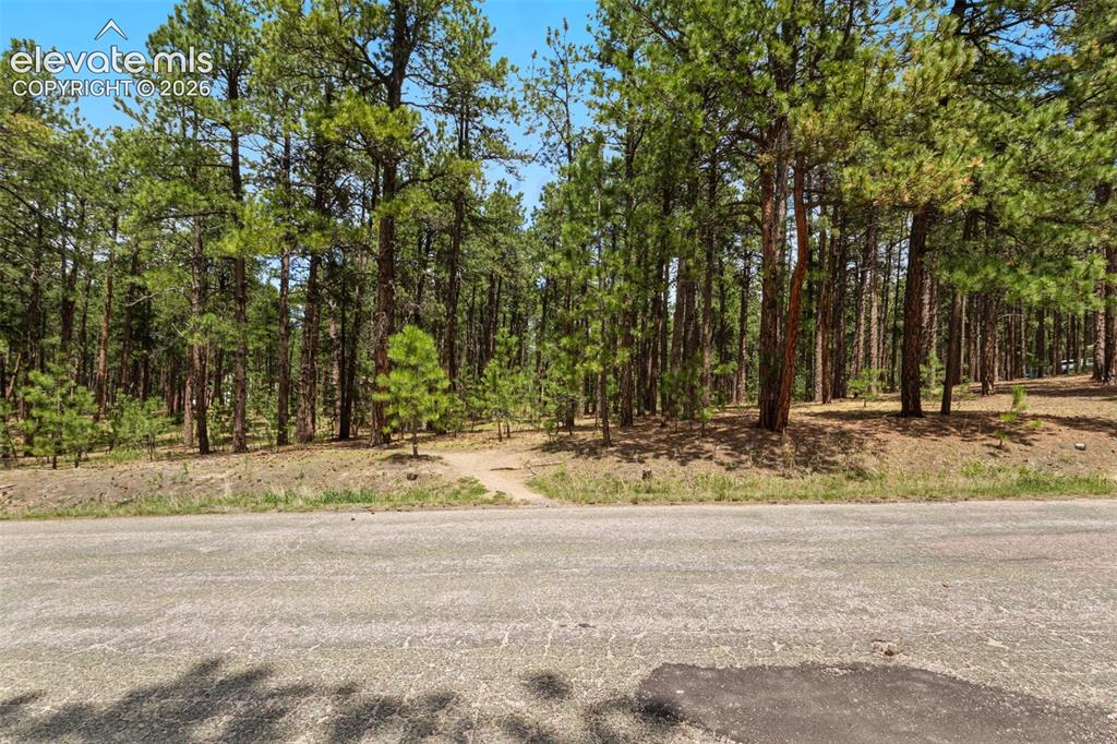 140 Stirrup Trail