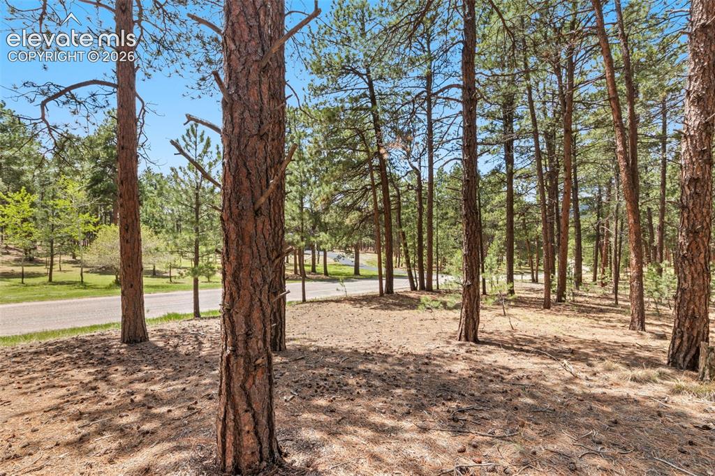 140 Stirrup Trail
