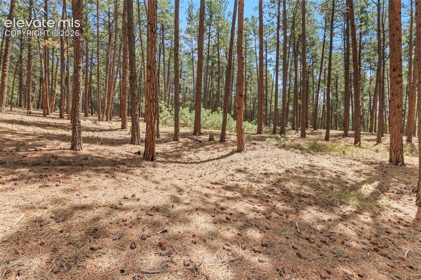 140 Stirrup Trail