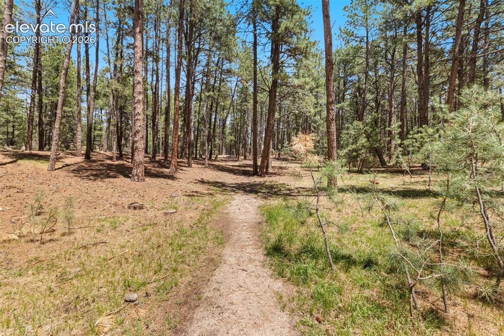 140 Stirrup Trail