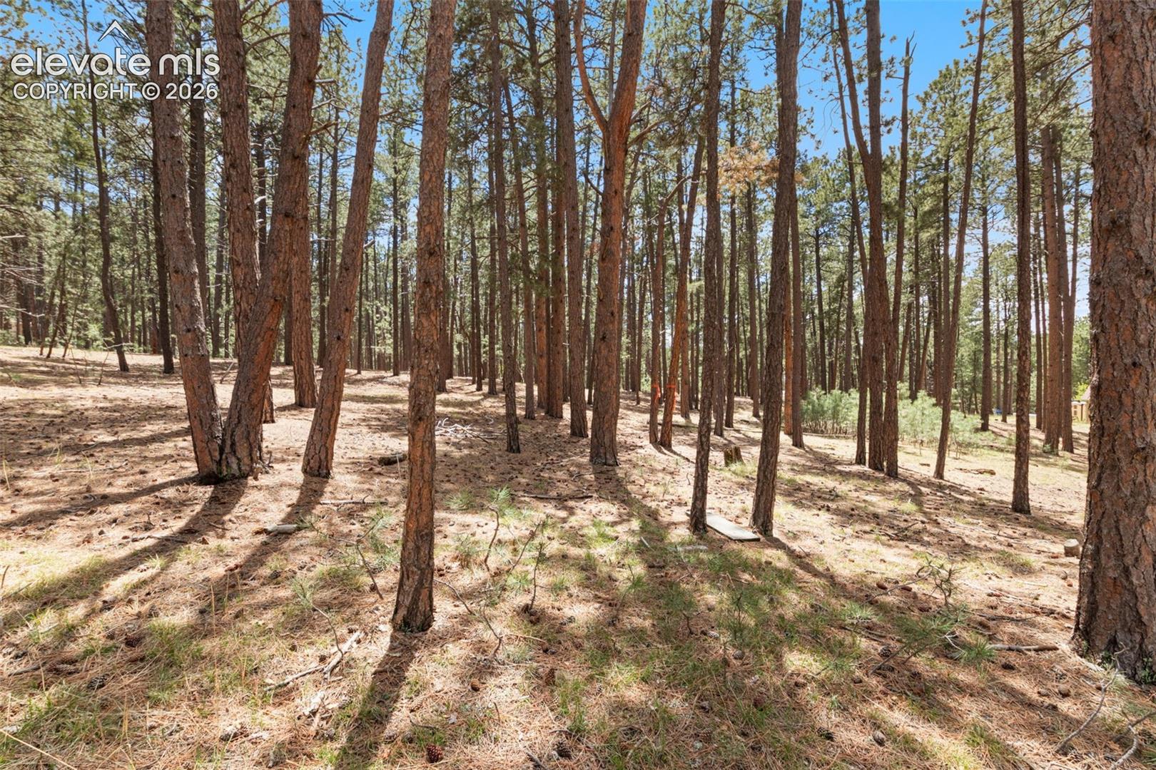 140 Stirrup Trail
