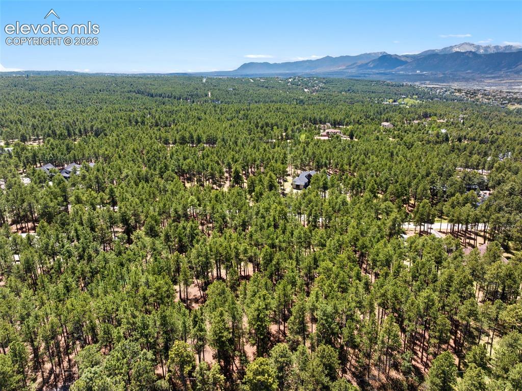 140 Stirrup Trail