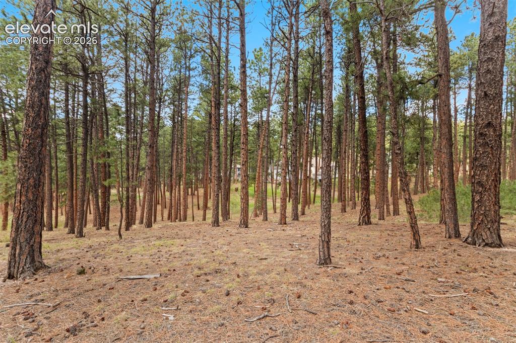 140 Stirrup Trail