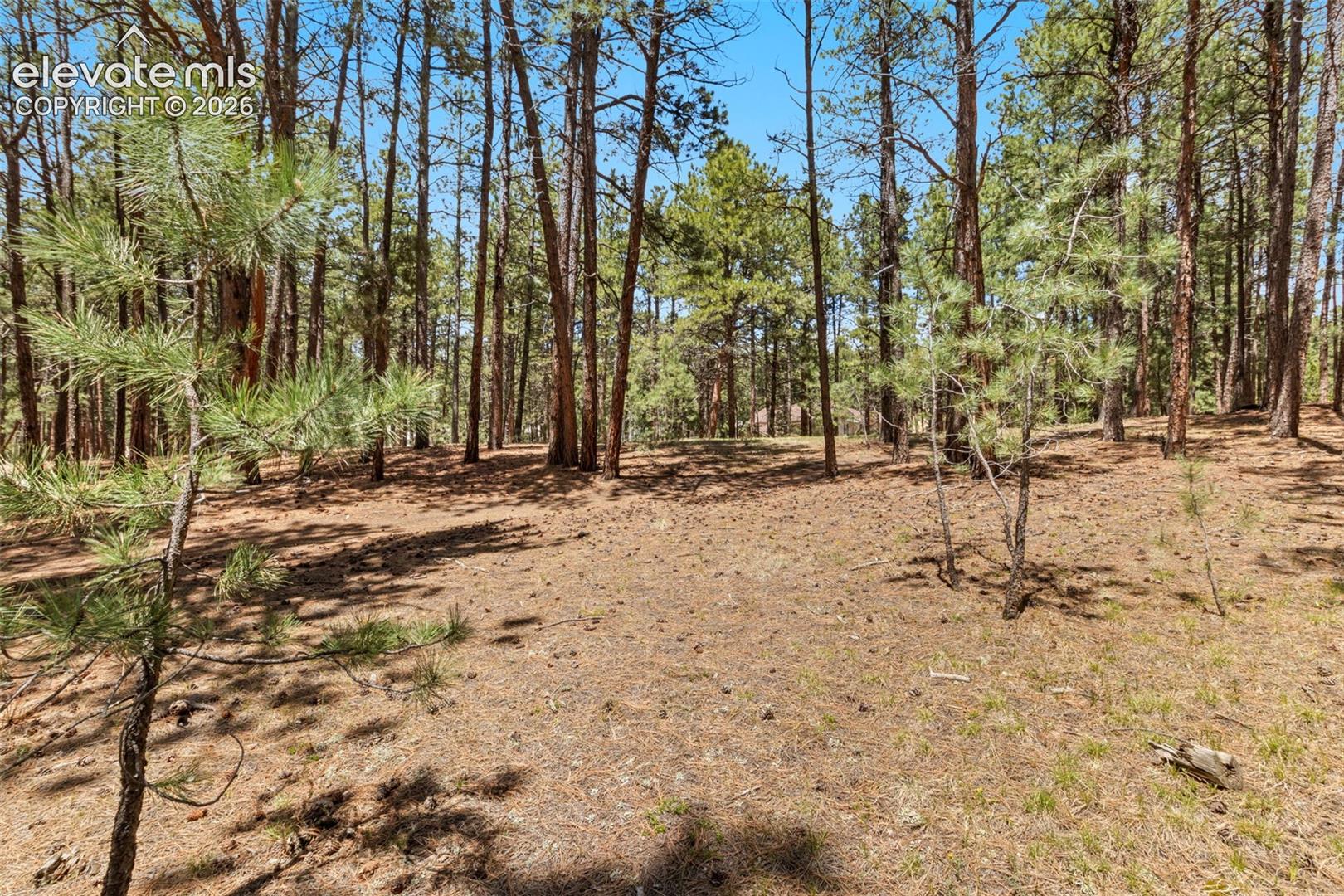 140 Stirrup Trail