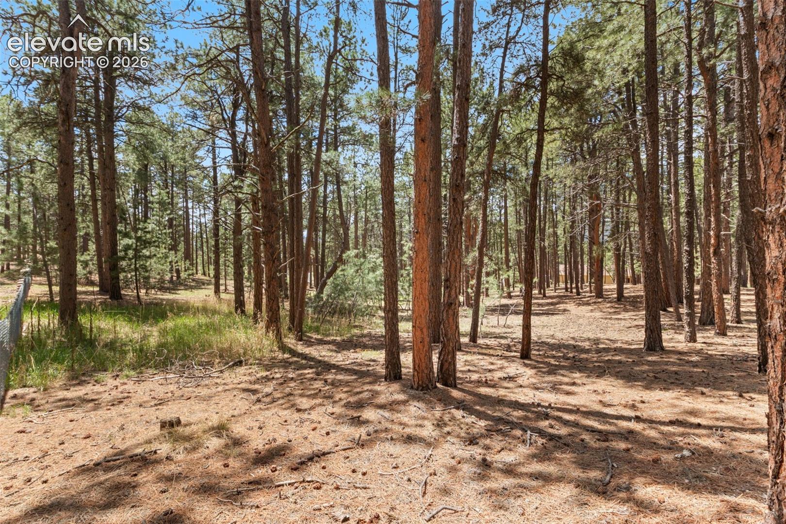 140 Stirrup Trail