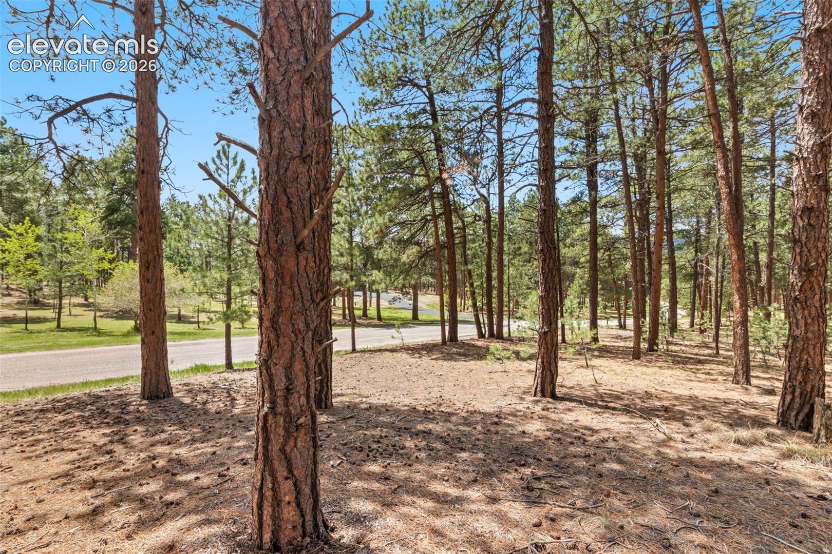140 Stirrup Trail