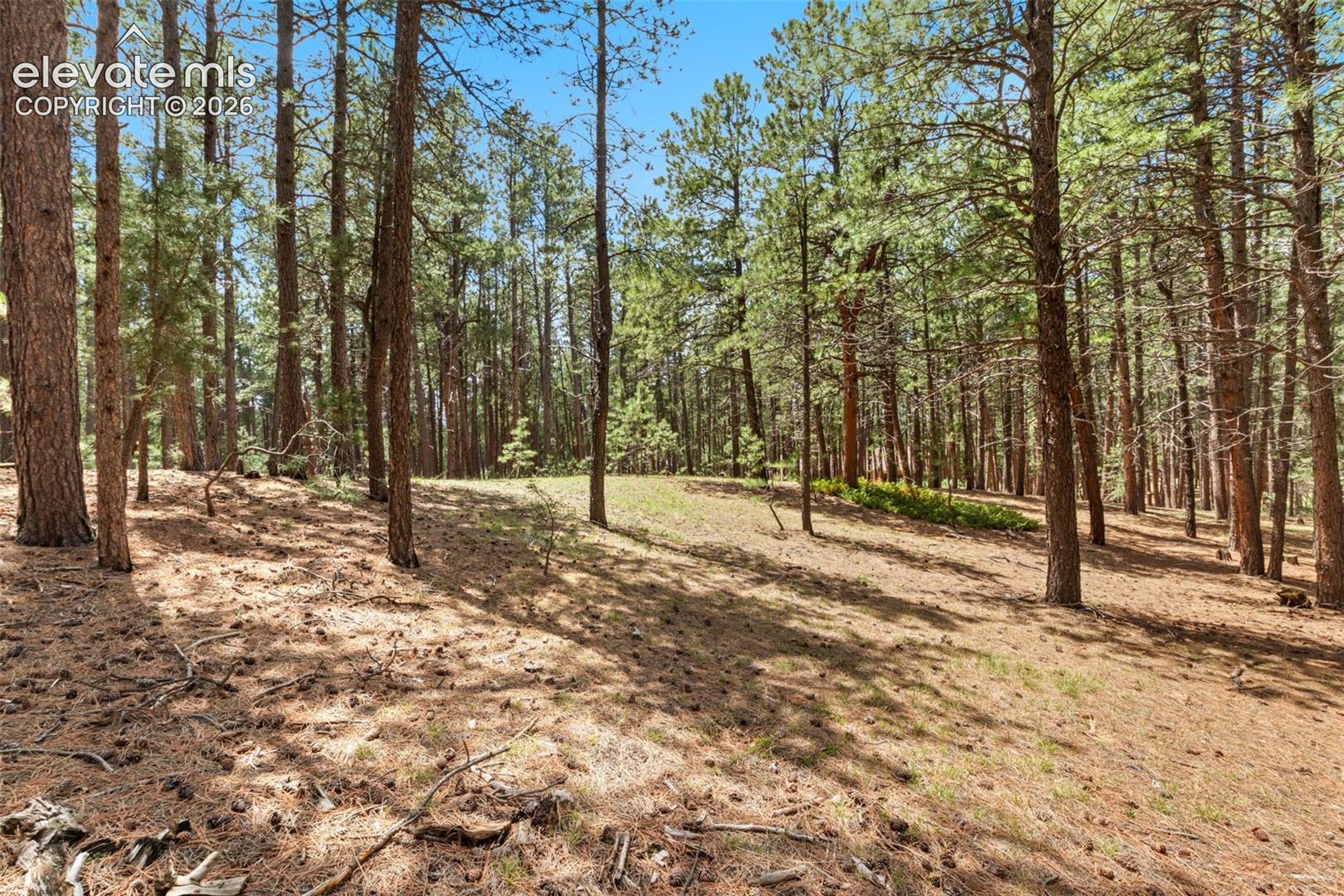 140 Stirrup Trail