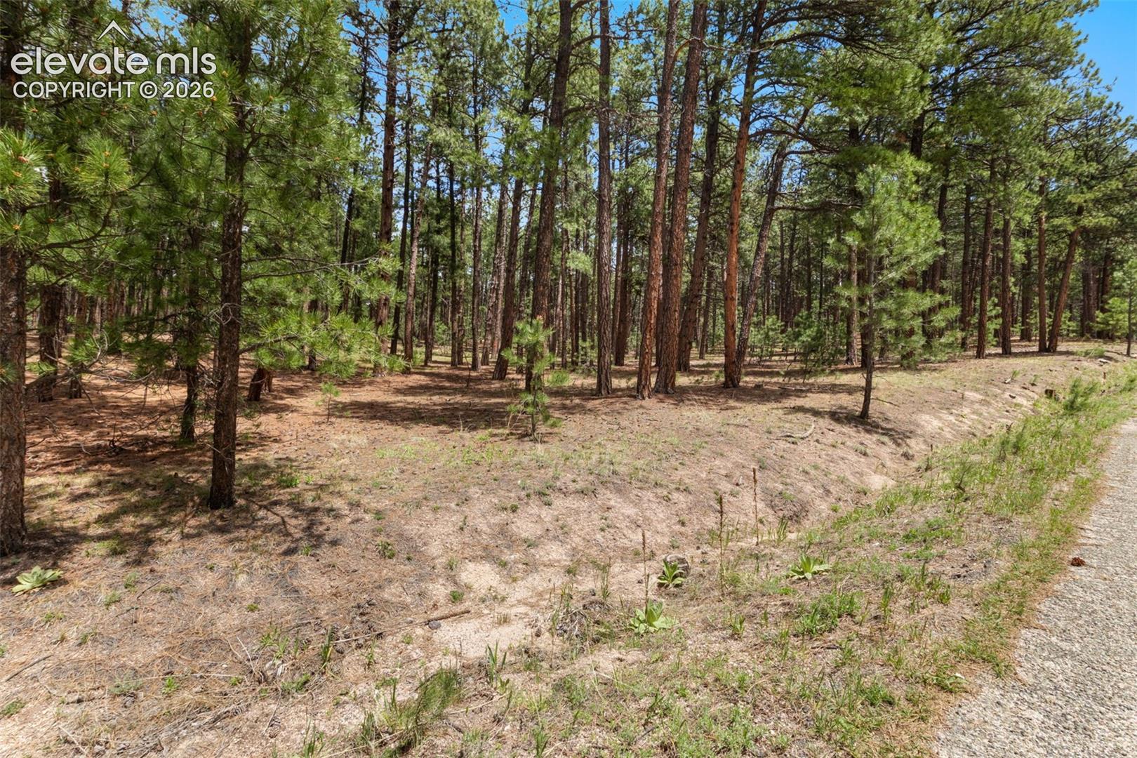 140 Stirrup Trail