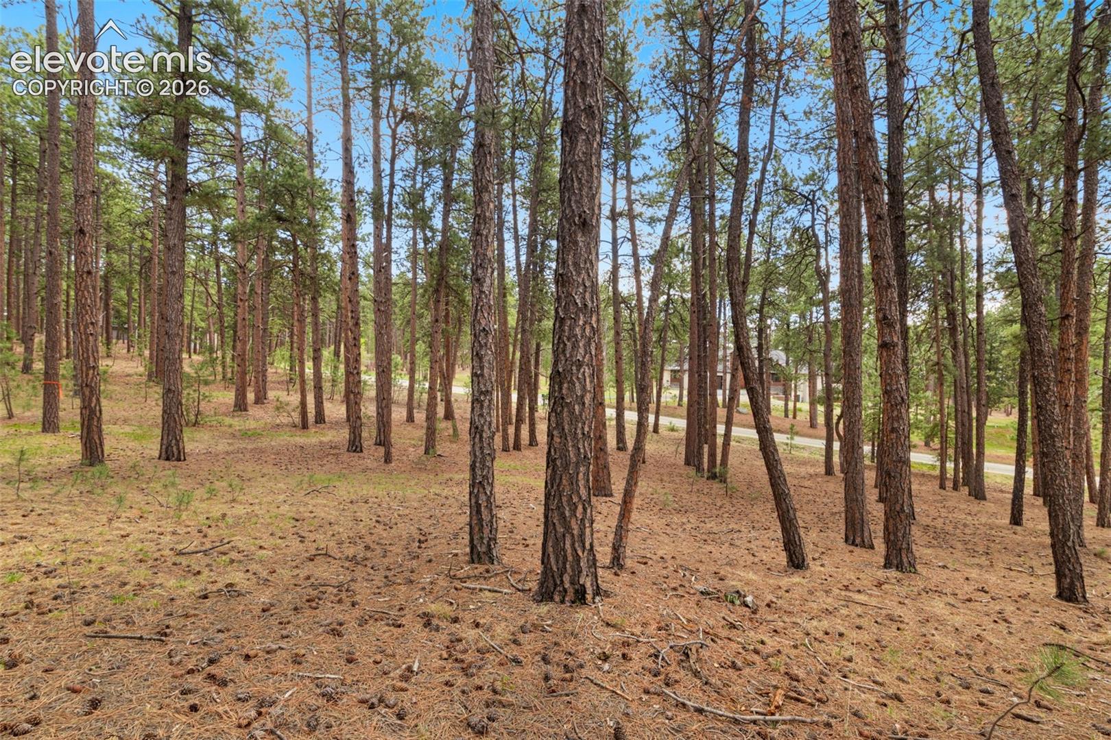 140 Stirrup Trail