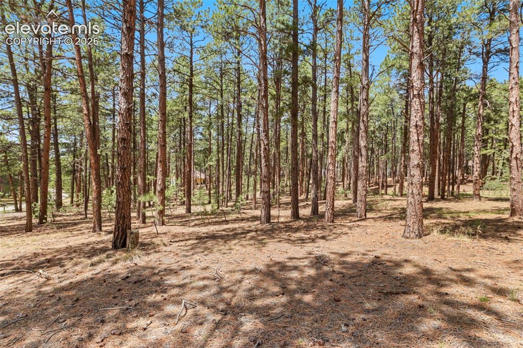 140 Stirrup Trail