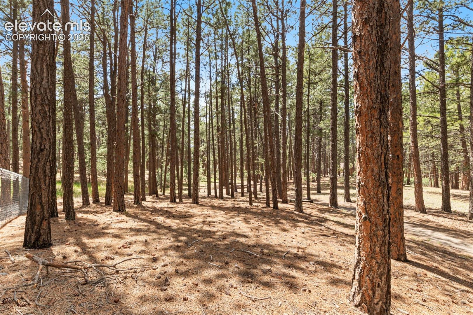 140 Stirrup Trail