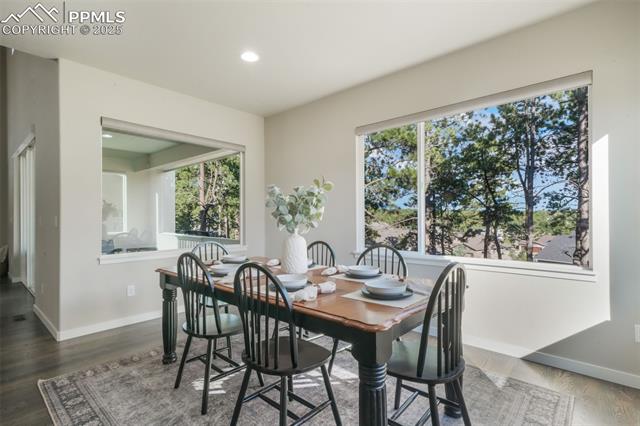 16267 Thunder Cat Way