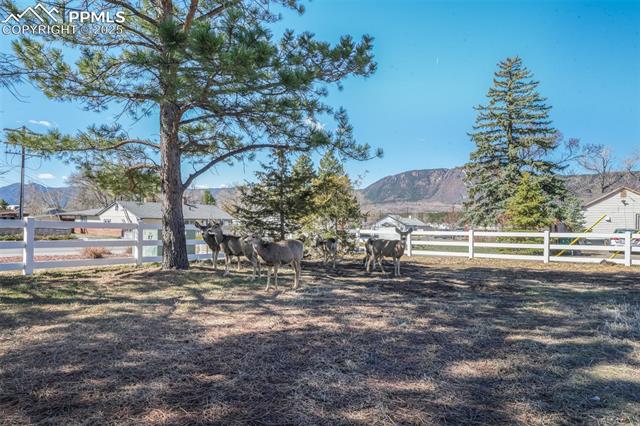 335 N Jefferson Street