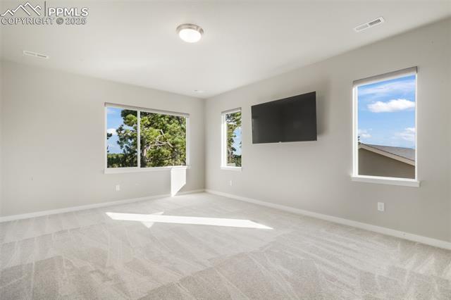 16267 Thunder Cat Way