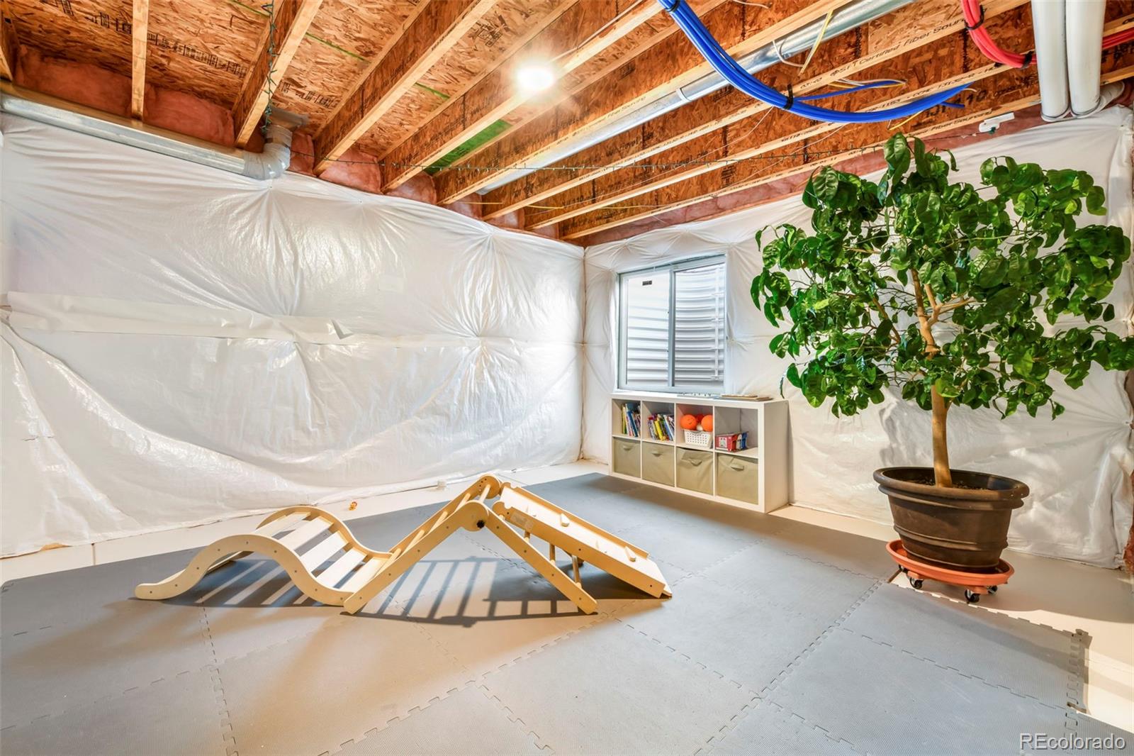 7903 Buckeye Tree Lane