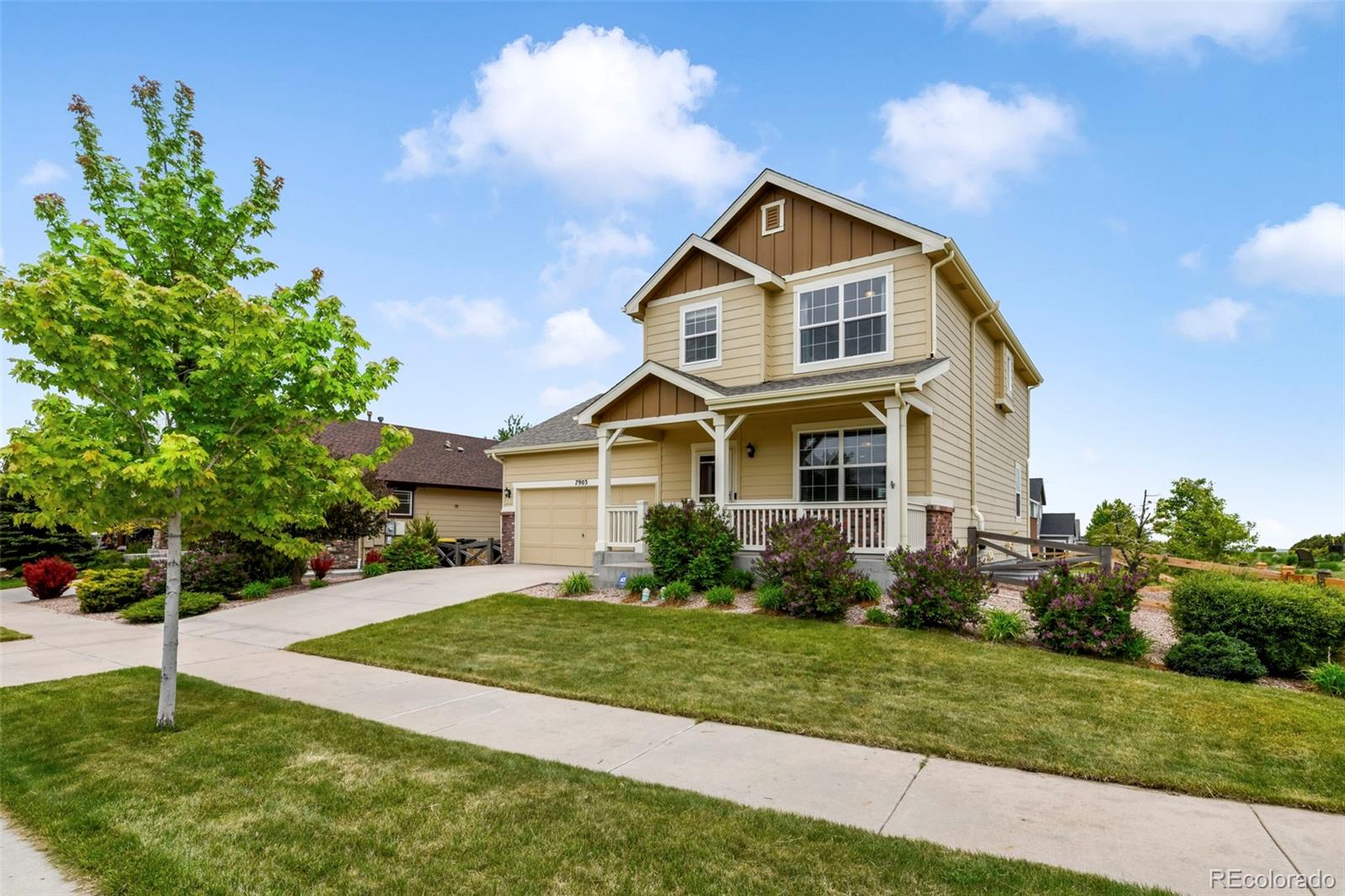 7903 Buckeye Tree Lane