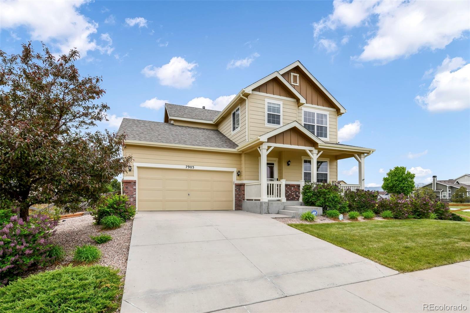 7903 Buckeye Tree Lane