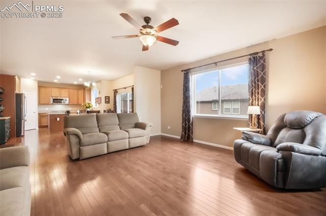 823 Spectrum Loop