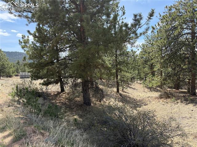 99 Cheyenne Way