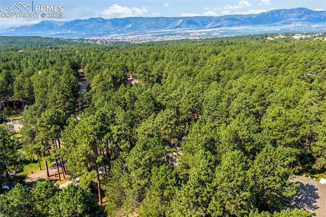 19140 Golden Arrow Circle