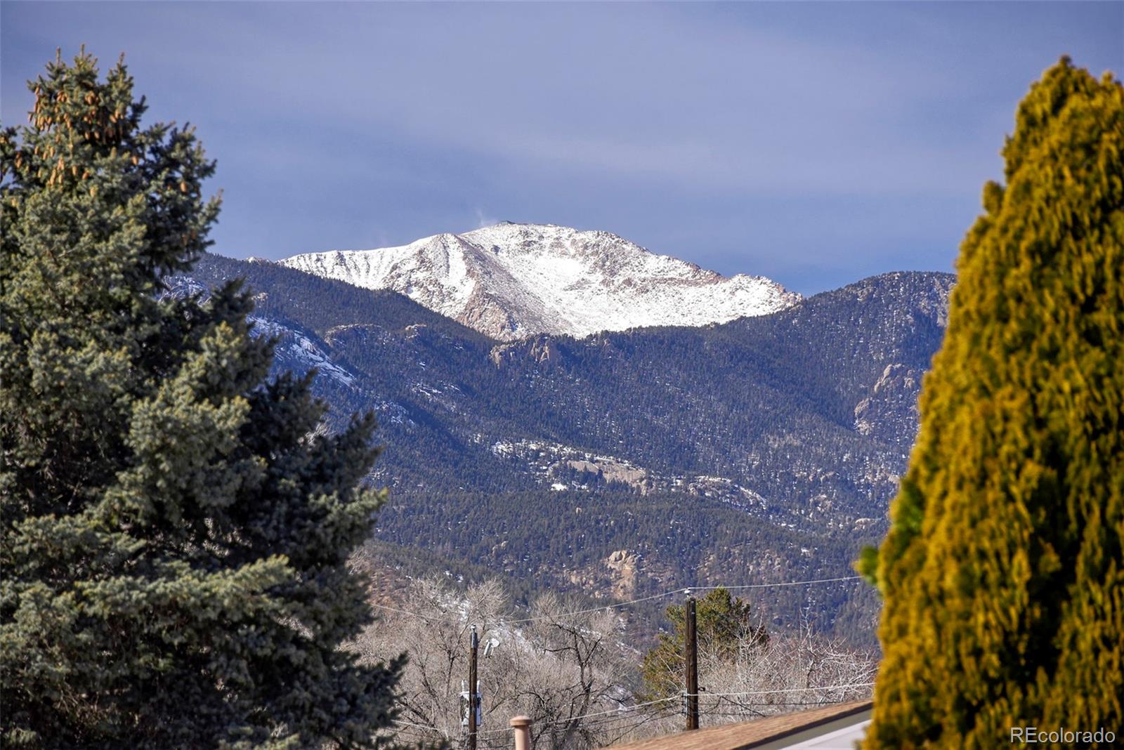 1051 Montrose Avenue