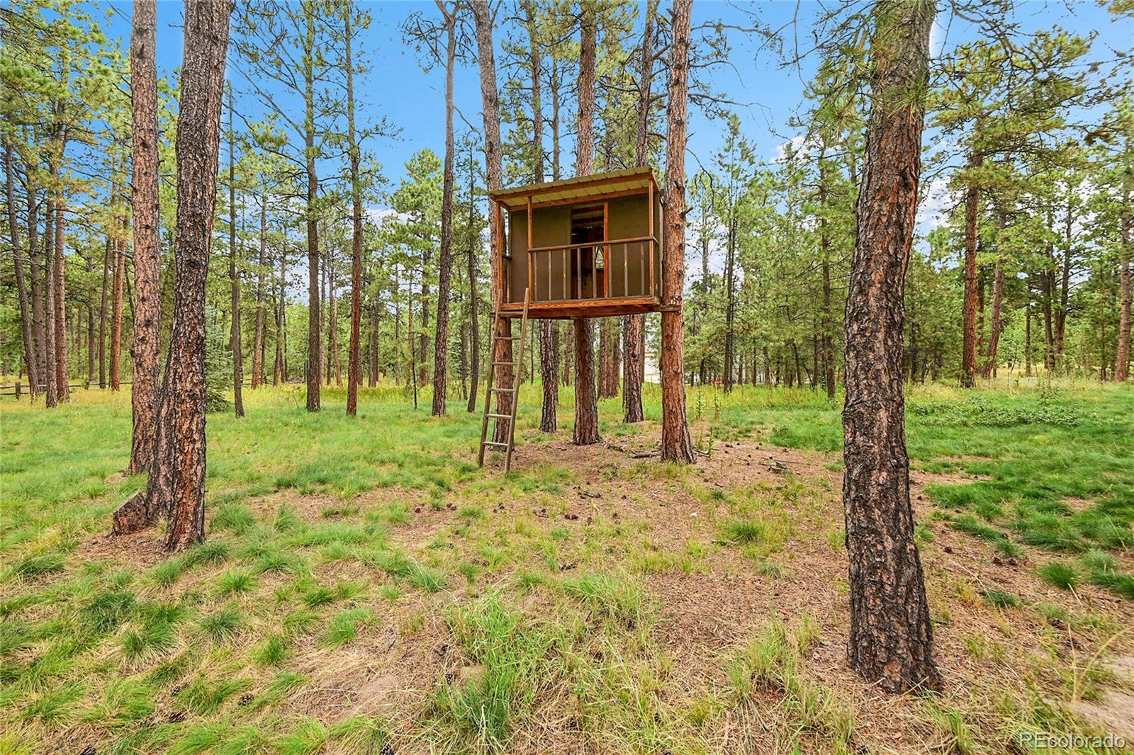 1260 Scottswood Drive