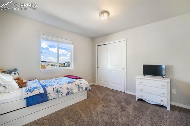 10965 Long Summer Court