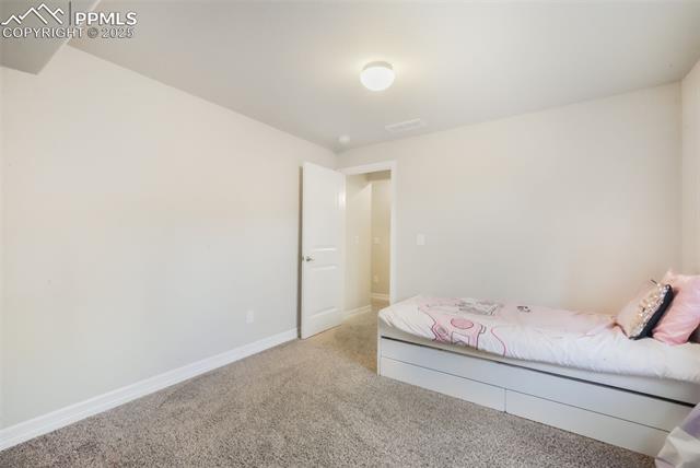 10965 Long Summer Court