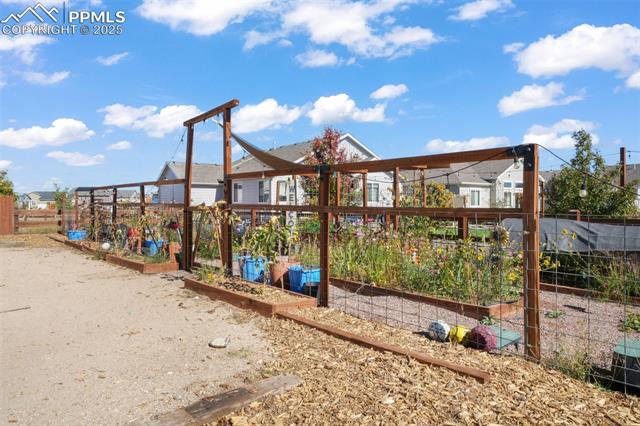 10965 Long Summer Court