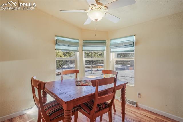 236 Obsidian Drive