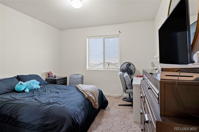 513 Foxtail Place