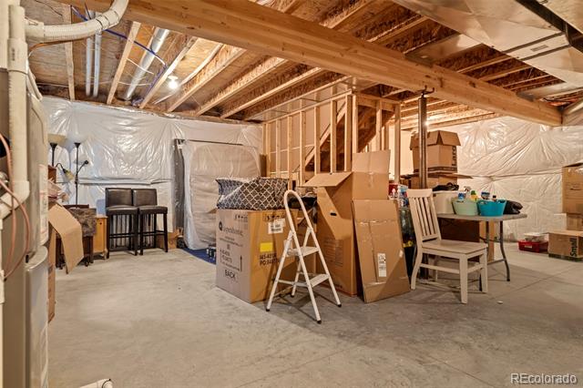 513 Foxtail Place